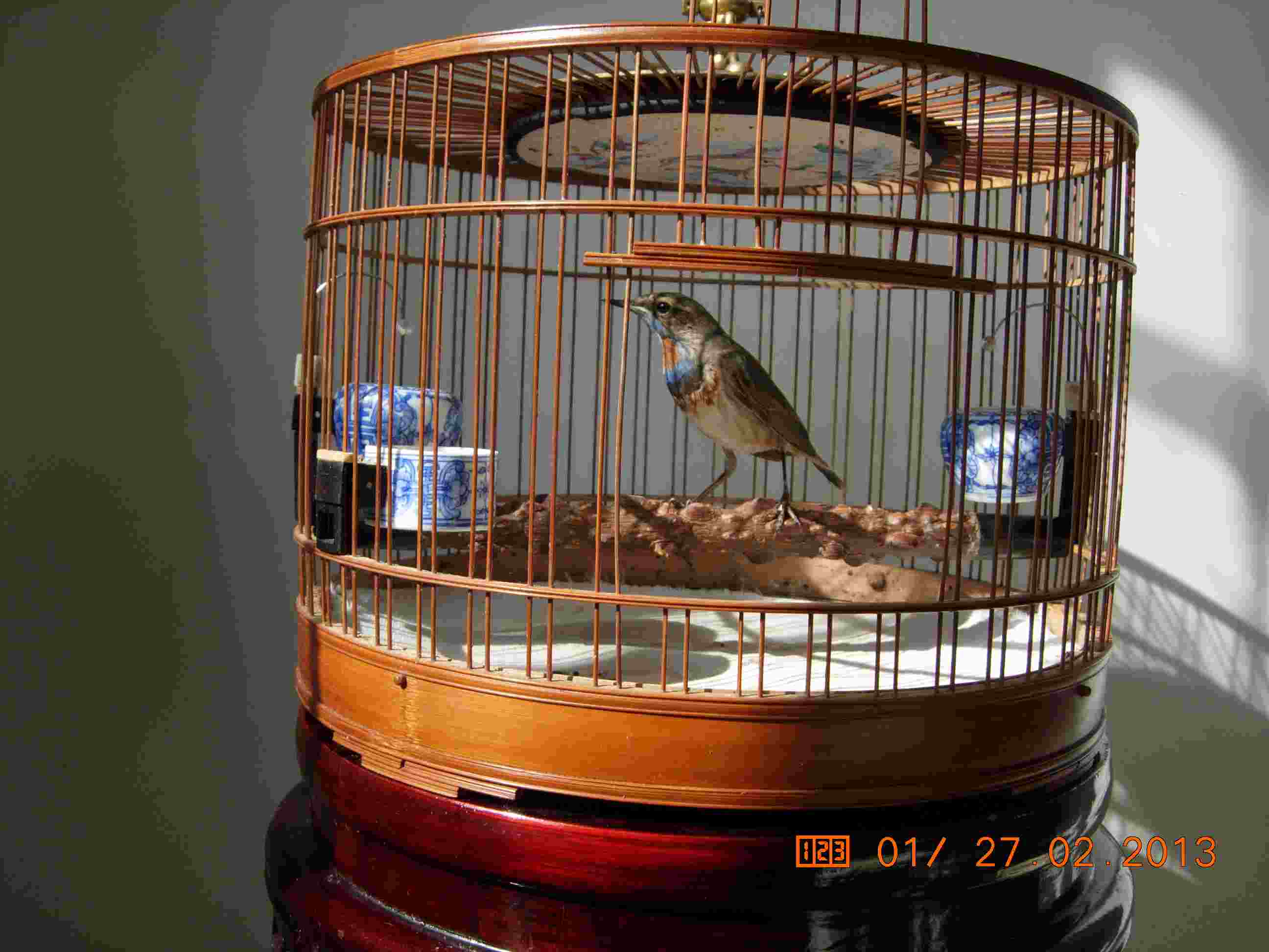 DSCN0132.jpg