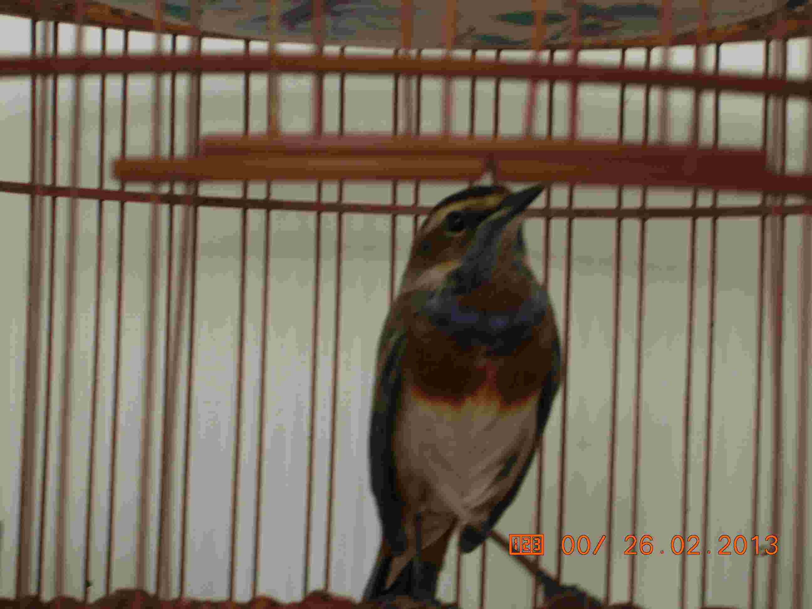 DSCN0078.JPG