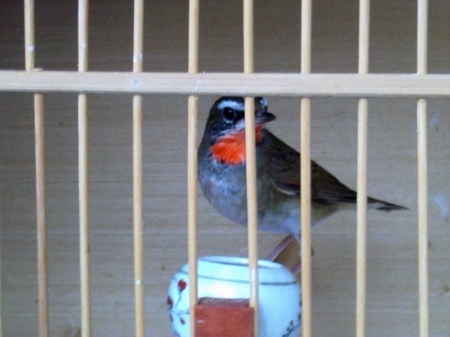 20130203191_副本.jpg