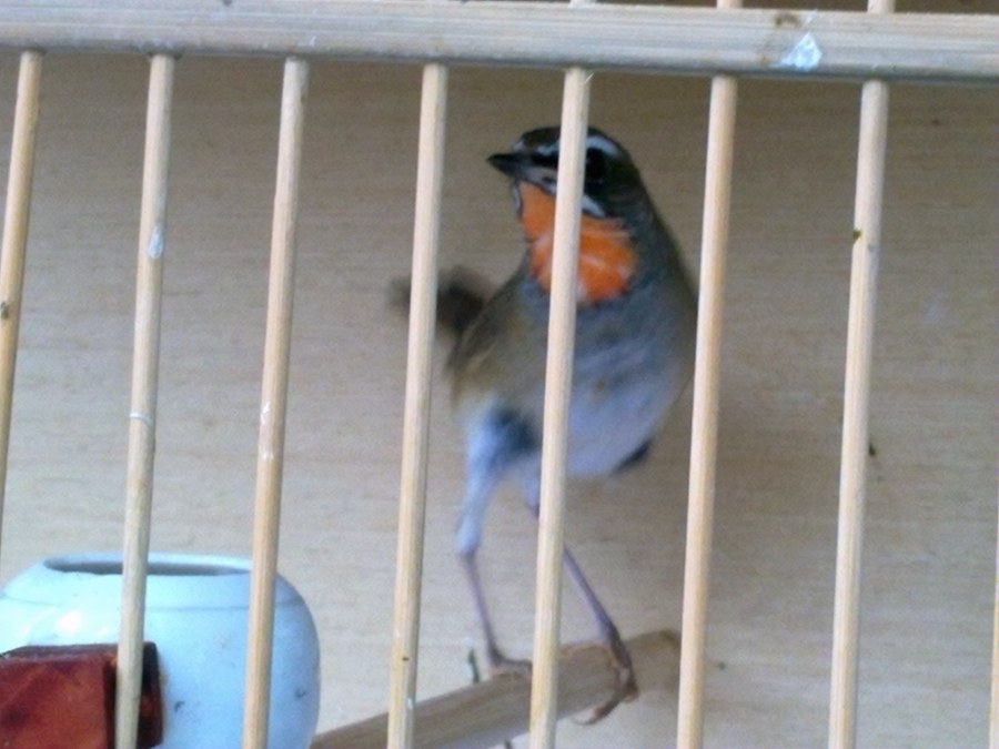 20130203186_副本.jpg