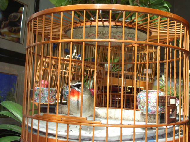 子珈2011照片 101.jpg