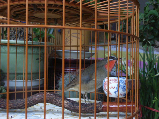 子珈2011照片 009.jpg