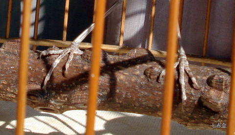 DSC00481-001.JPG