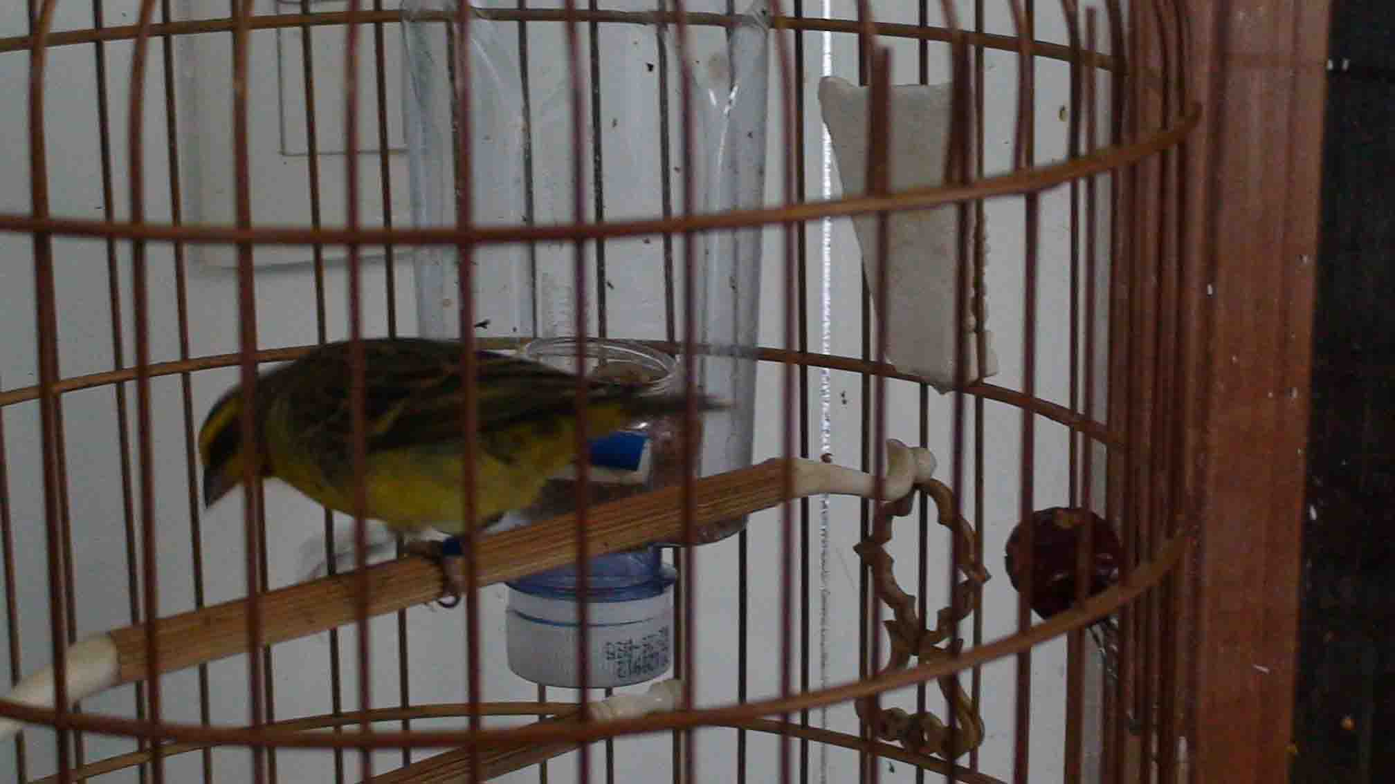 DSC05235.JPG