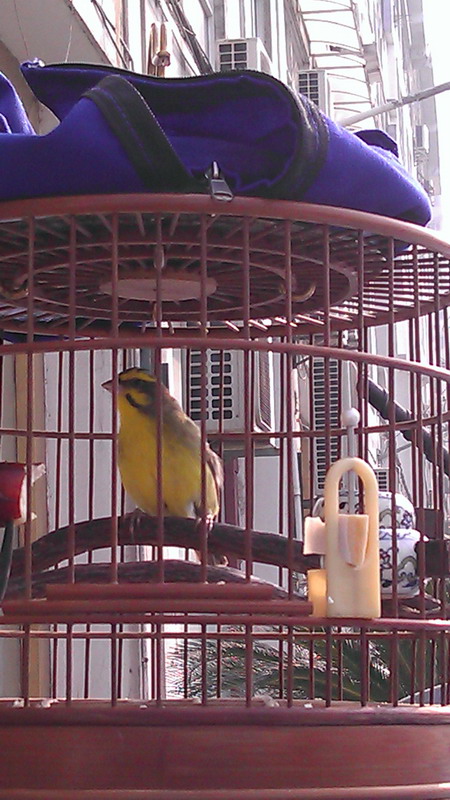 IMAG0355.jpg