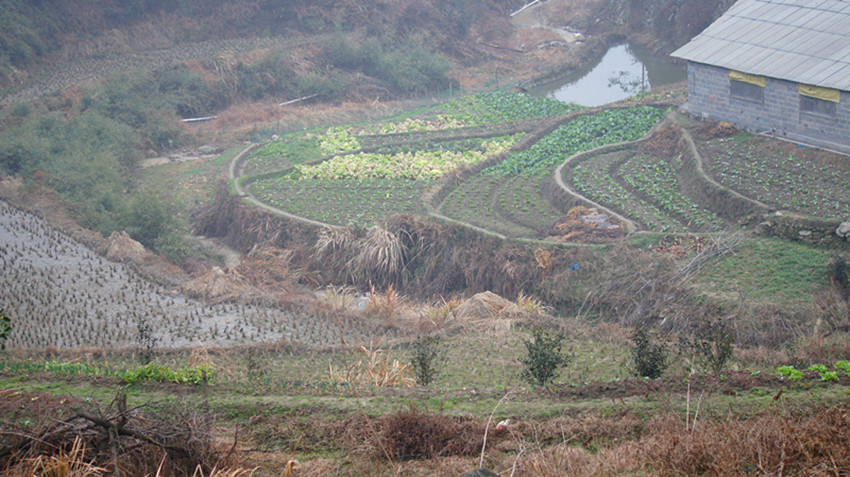 DSC02018_副本.jpg