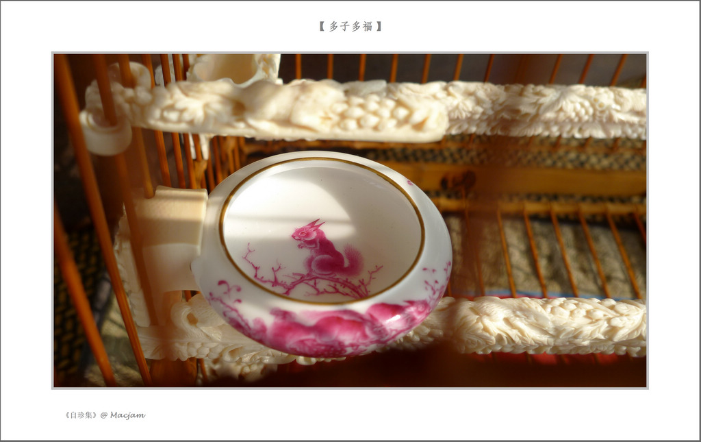 nEO_IMG_L1130002.jpg