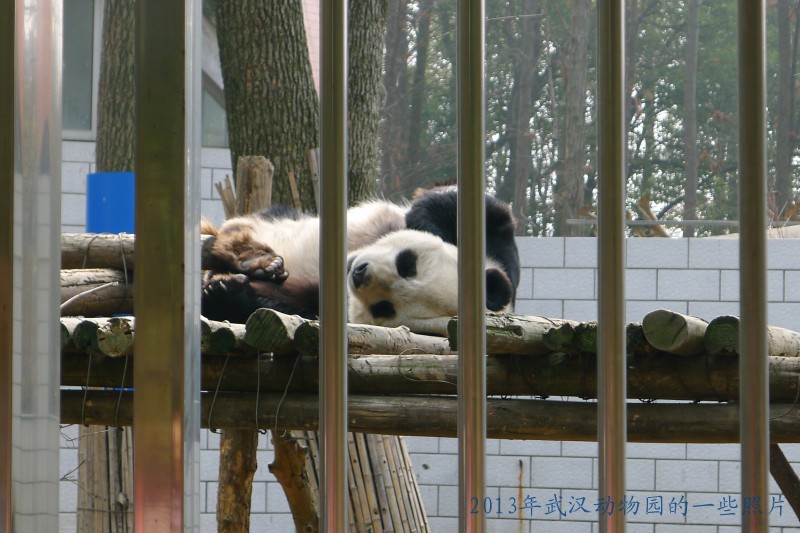 conew_p1070402_conew1.jpg