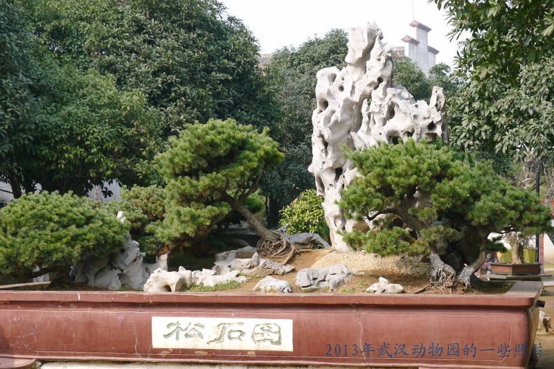 conew_p1070429_conew1.jpg