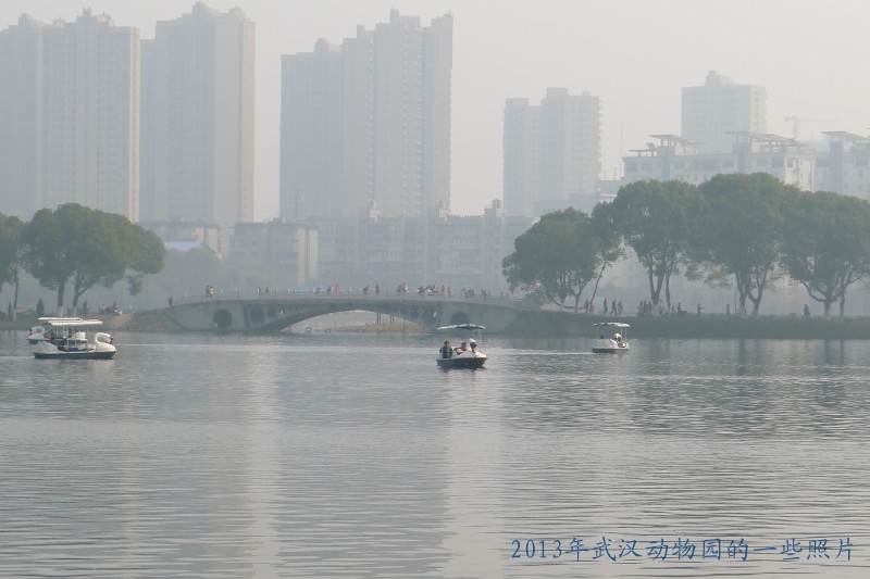 conew_p1070441_conew1.jpg