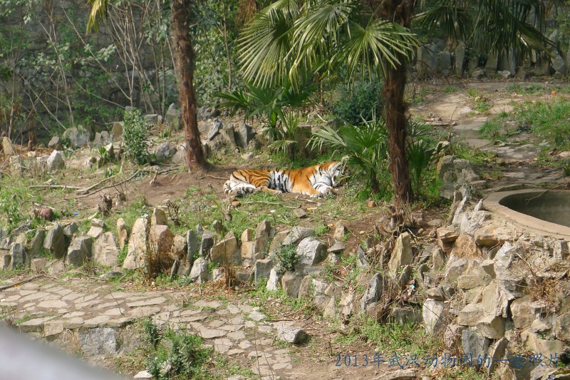 conew_p1070423_conew1.jpg