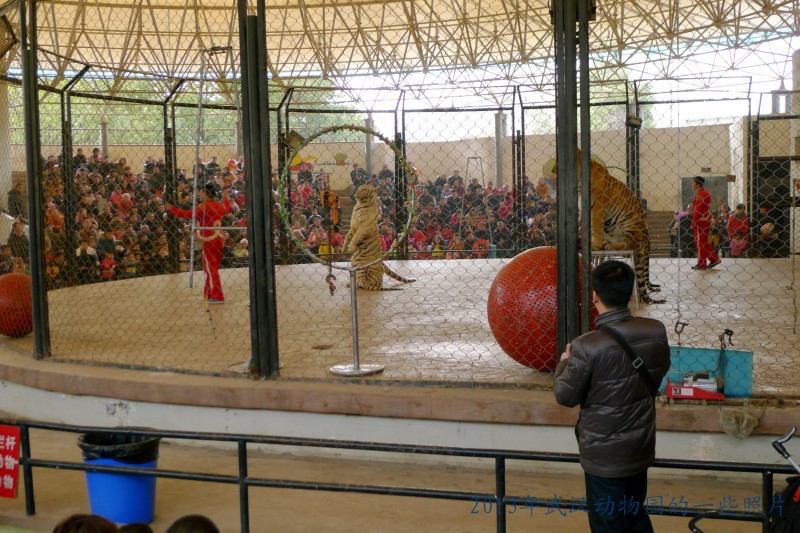 conew_p1070296_conew1.jpg