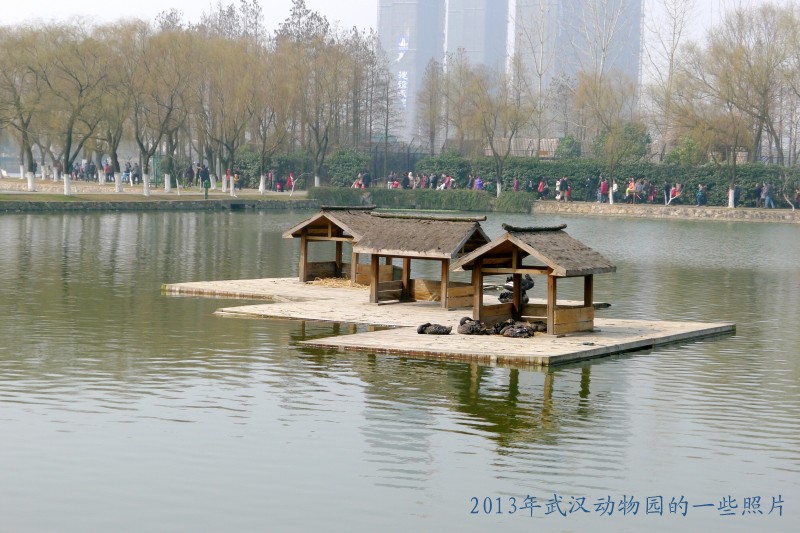 conew_p1070308_conew1.jpg