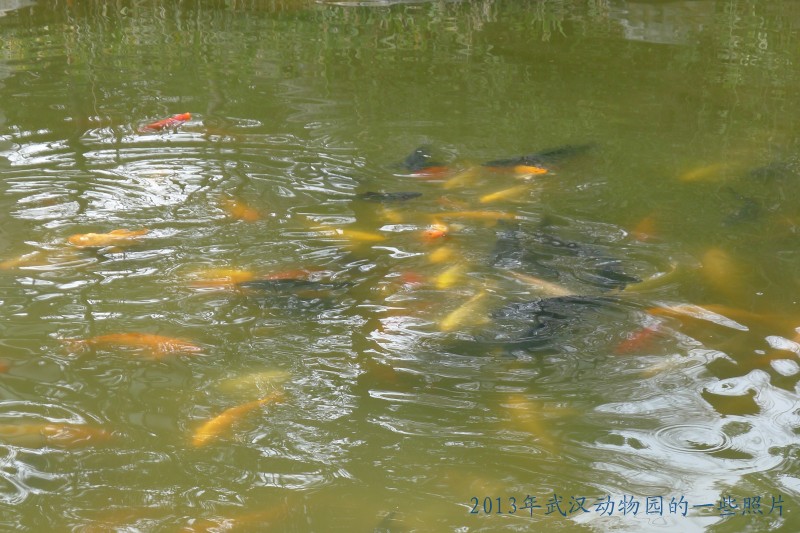 conew_p1070336_conew1.jpg