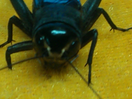 WP_001712.jpg