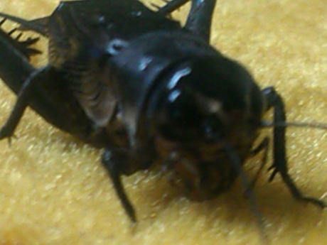 WP_001736.jpg