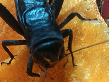 WP_001707.jpg