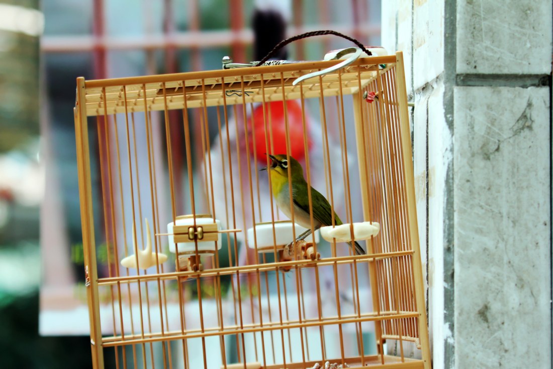 IMG_5363_conew1.jpg