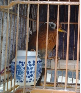 未命名.111jpg.jpg