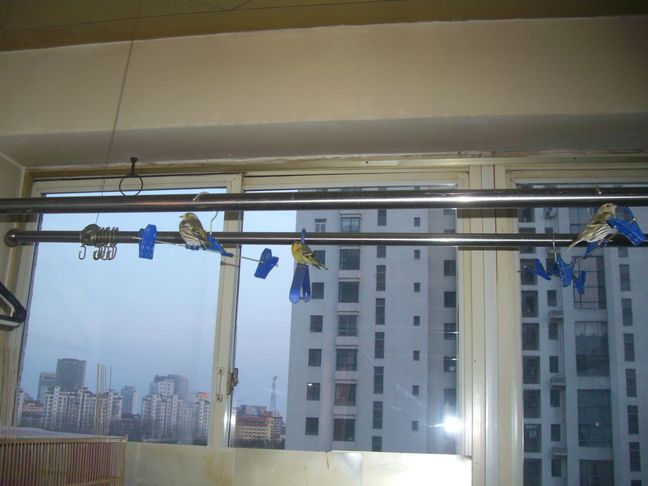 CIMG0336.JPG