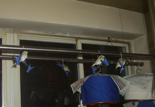CIMG0361.JPG