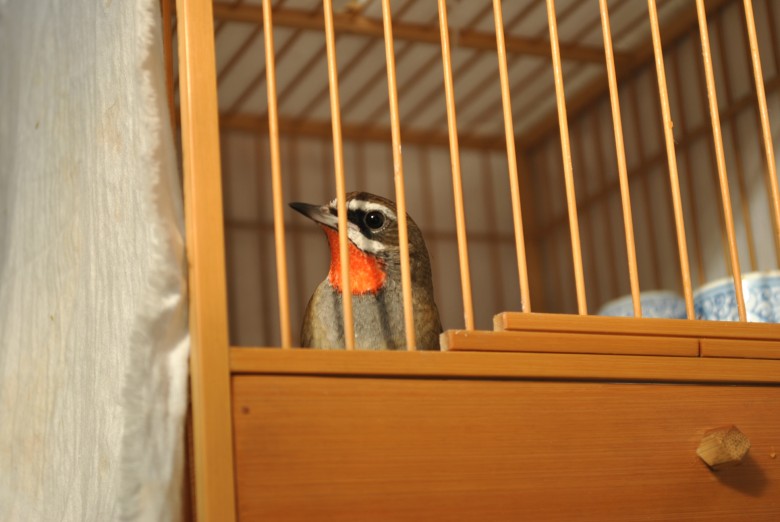 DSC_0046_conew1.jpg