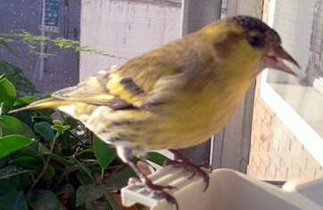 2012-10-28 07.47.27.jpg