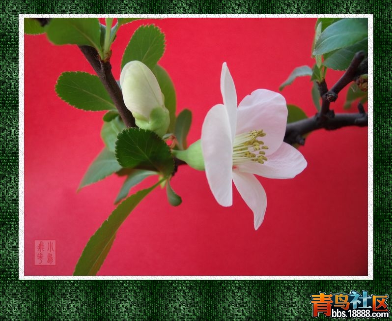 DSCF5740.jpg
