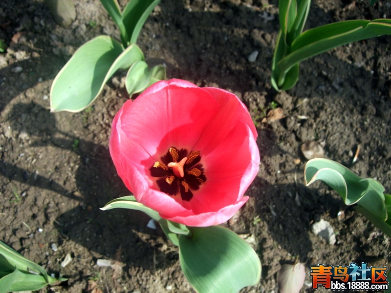 DSCF5876.jpg