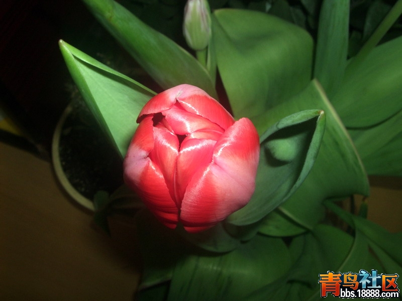 DSCF5500.jpg