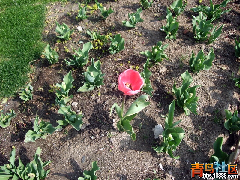 DSCF5960.jpg