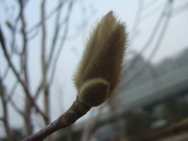 DSCF0911_调整大小.JPG