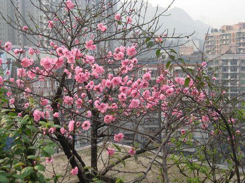 IMG_3040_副本_副本.jpg