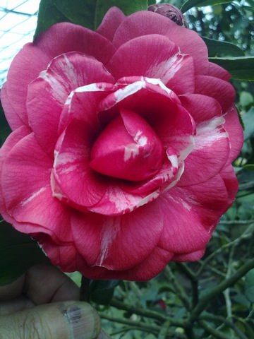 调整大小 20130227448.jpg
