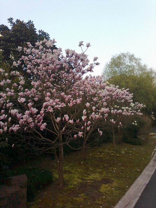 照片1106.jpg
