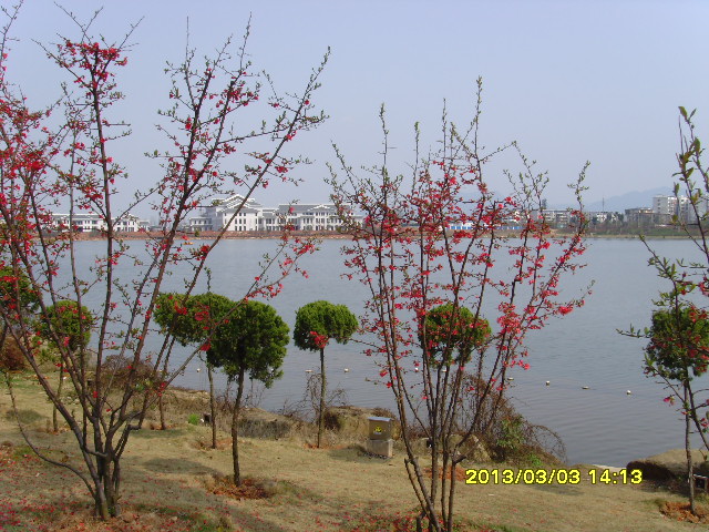SNV36380.JPG