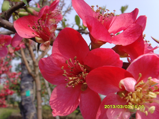 SNV36378.JPG