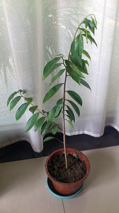 C360_2013-03-07-11-29-08_副本.jpg