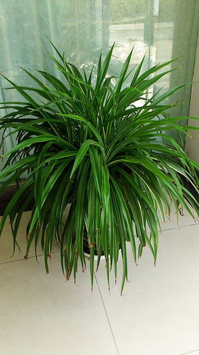 C360_2013-03-07-11-29-28_副本.jpg