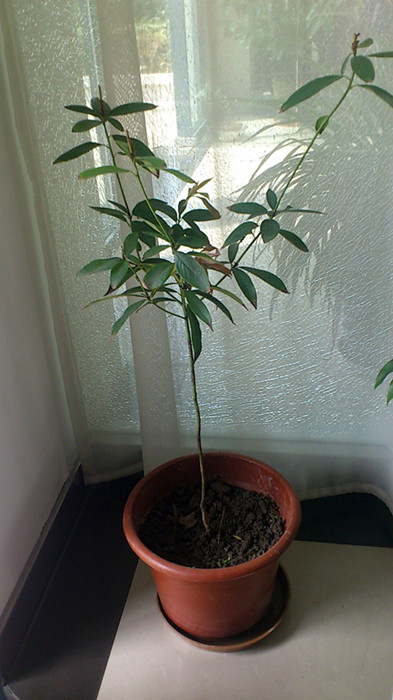 C360_2013-03-07-11-28-58_副本.jpg