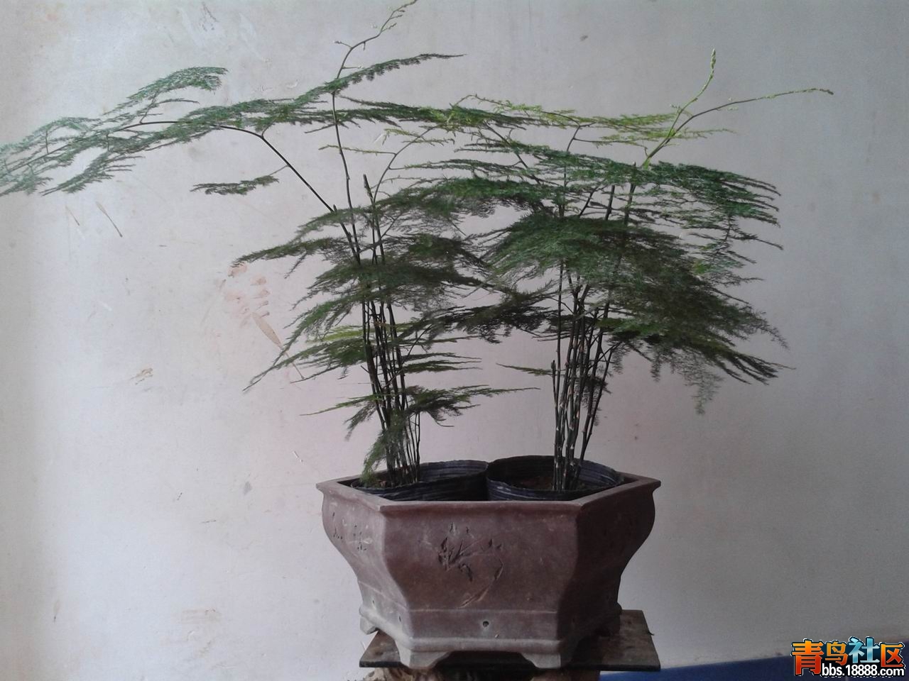 20130302_152040.jpg
