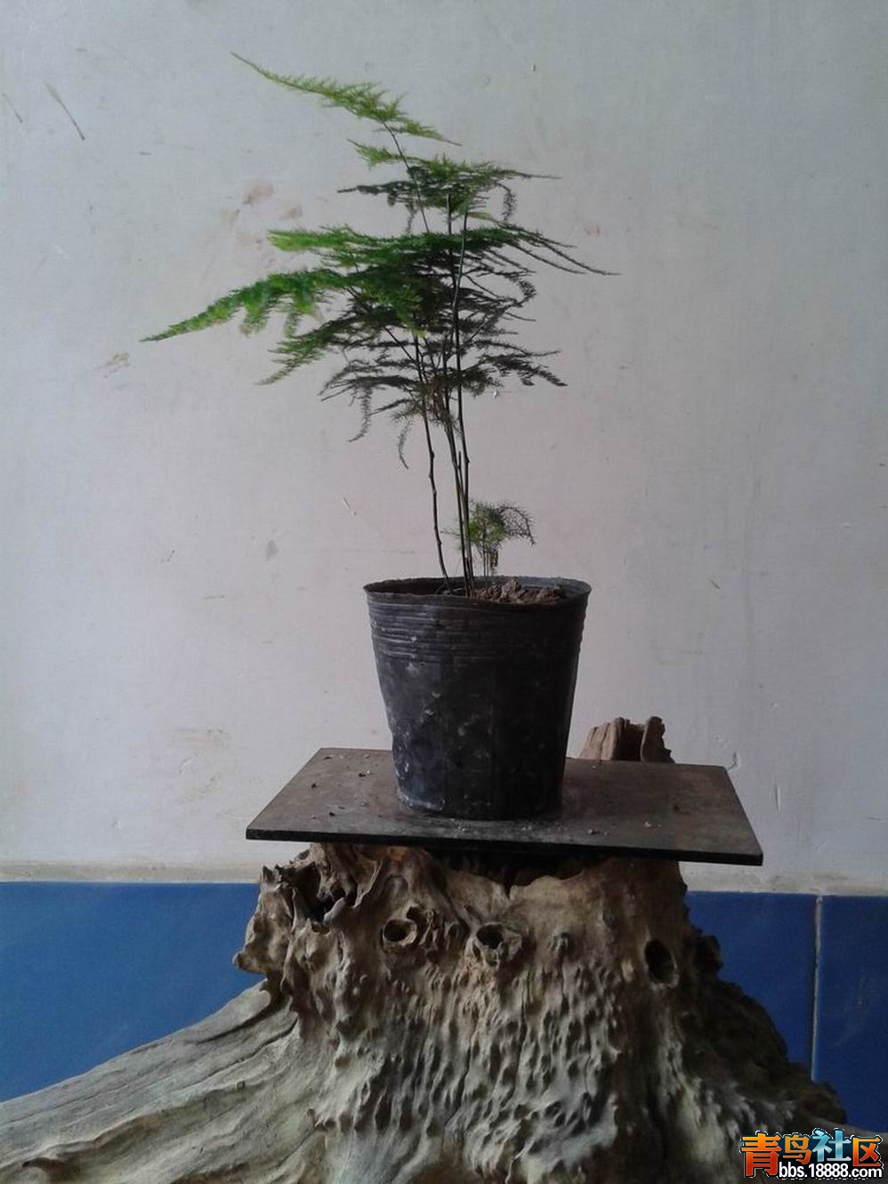 20130302_150708.jpg
