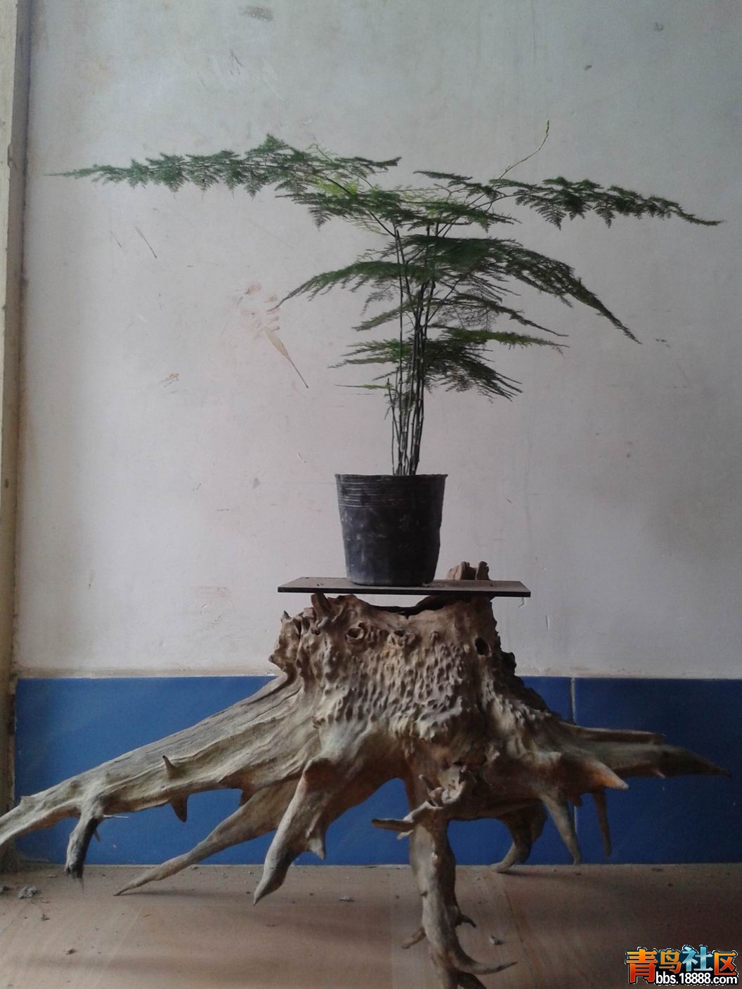 20130302_151202.jpg
