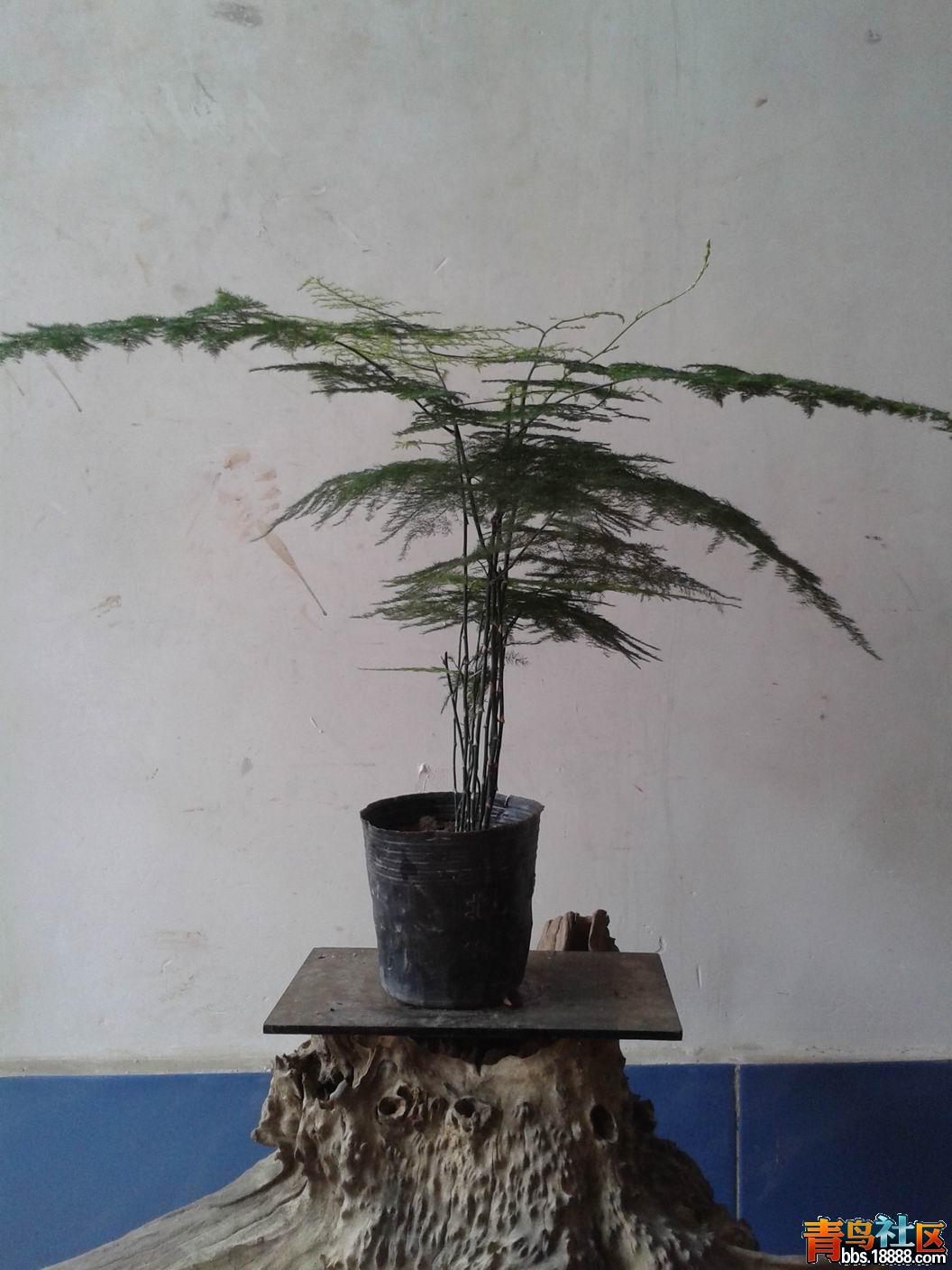 20130302_151141.jpg