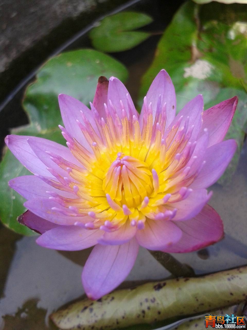 20130308_135222.jpg