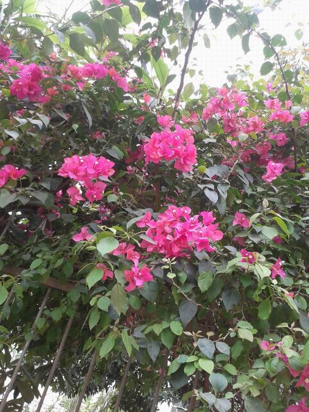 20130317_133823.jpg