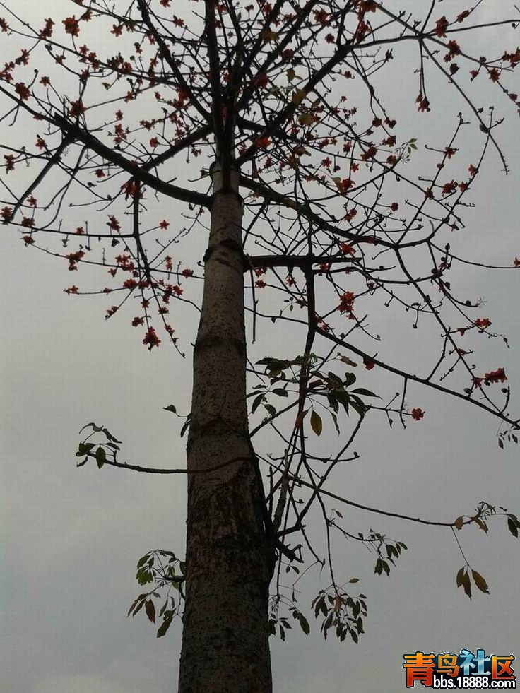 20130319_134355.jpg