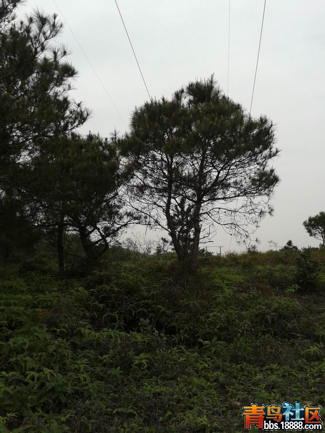 20130303_142512.jpg
