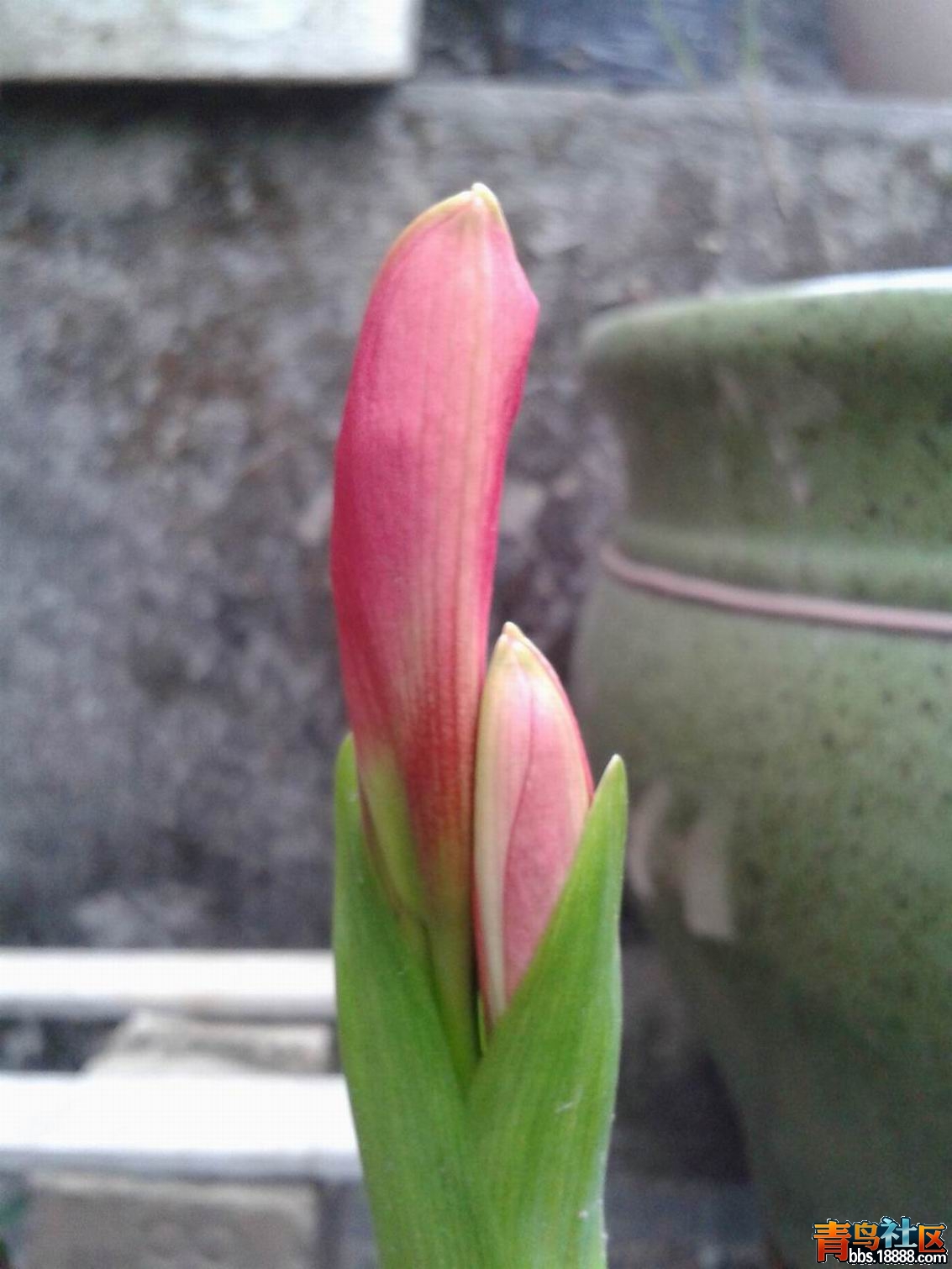 20130327_180128.jpg
