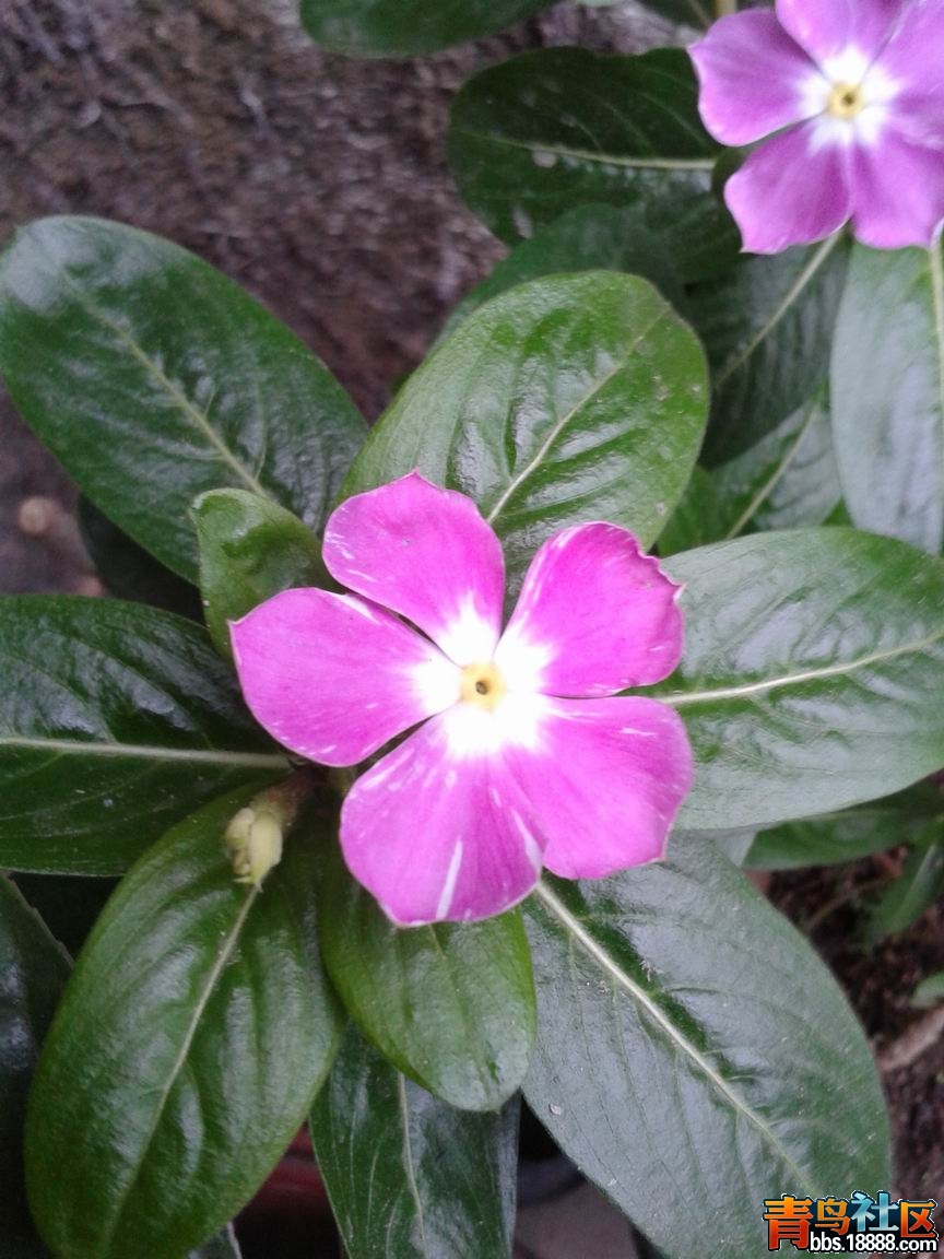20130305_180919.jpg